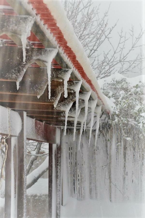 Si-Har Chalets Nimrod Exteriér fotografie