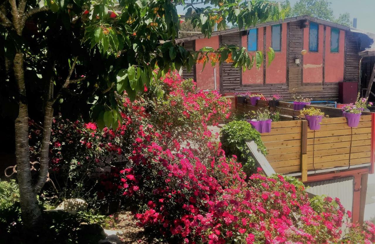 Si-Har Chalets Nimrod Exteriér fotografie